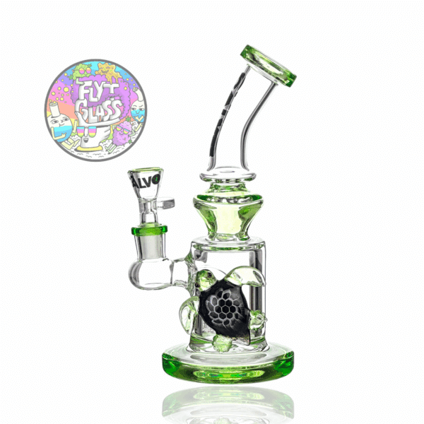 TURTLE RIG - CALVO